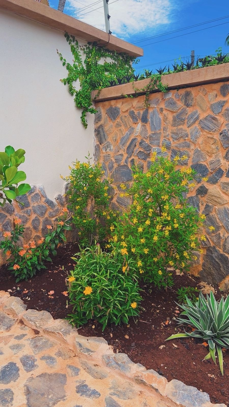 Jardín compartido, otra vista